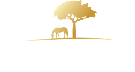The Stables of Camden